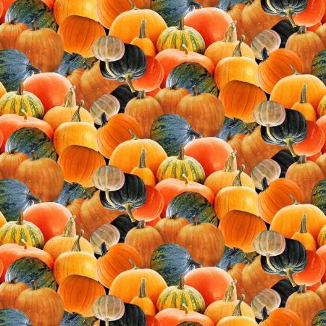 Autumn Splendor Pumpkins and Gourd Toss Fabric by Henry Glass Cotton ...