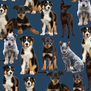 Pode incluir: Um padrão repetido com múltiplas raças de cães em várias poses, sobre um fundo azul escuro. Os cães exibem diversas cores de pelagem, incluindo preto, castanho, branco e cinzento. Alguns estão sentados, outros em pé ou deitados.