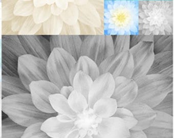Hoffman Onyx Kablooms Fabric Panel / Onyx Flower Quilt Panel / by Hoffman Exclusively for SewWhatQuiltShop / Floral Quilt Panels