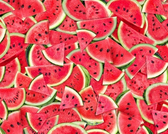 Pink Watermelon Fabric Fruit by Timeless Treasures Fruit  Red Fabric  / Foodie Fabric by the Yard & Fat Quarters