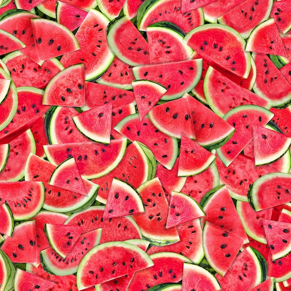 Pink Watermelon Fabric Fruit by Timeless Treasures Fruit  Red Fabric  / Foodie Fabric by the Yard & Fat Quarters