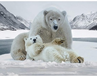 Pannello in tessuto Hoffman Call of the Wild con orso polare e cucciolo di neve / Pannello in tessuto digitale Call of the Wild 43x30"