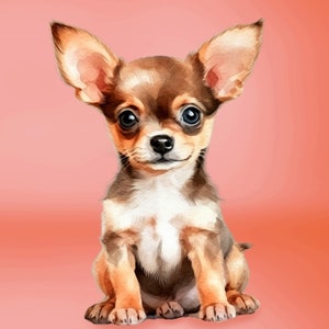 Chihuahua Dog Fabric Panel 36" Panel by David Textiles / Dog Breeds  Panel David Textiles exclusive Digital Print