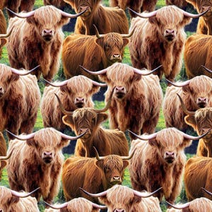 Highland Cows Fabric / Highland Cows Overall by David Textile / Farm Animals Material Yardage & Fat Quarters