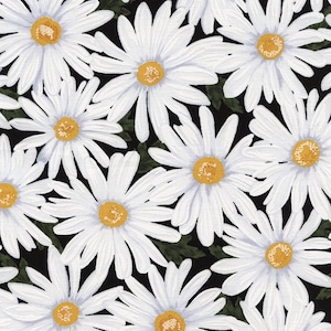 Live Love Laugh Daisy Toss Fabric / Timeless Treasures c4426 / Daisy Fabric / 100% Cotton / 1 Yard Cuts, 1/2 Yard Cuts