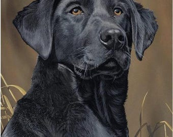 Black Lab Dog Fabric Panel 36" Panel by David Textiles / Man's Best Friend Panel David Textiles exclusive Digital Print