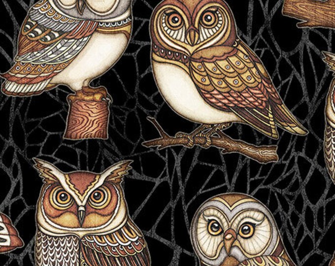 Owl Fabric / Harry Potter Fabric / Owls on Black Fabric / Etsy