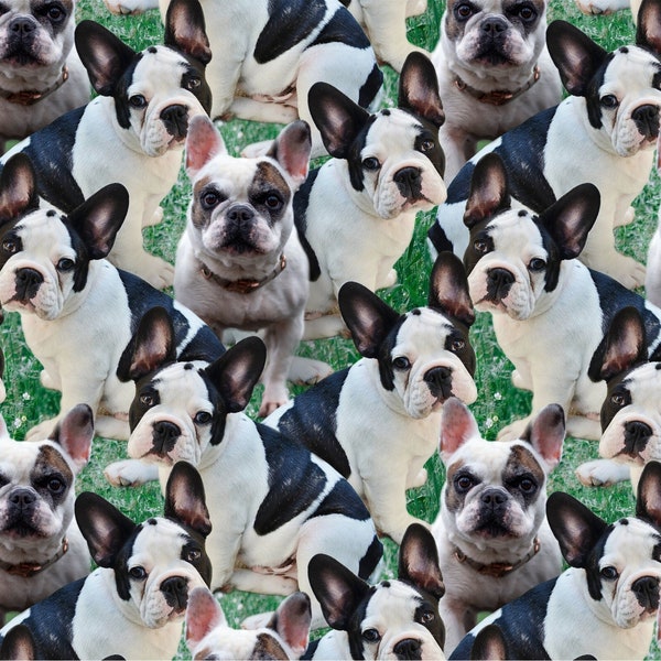 Frenchie Dog Allover on Grass Fabric / French Bulldog Allover Fabric by David Textiles Dog Fabric / Fat Quarter and Yardage