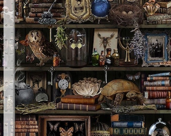 Witch Apothecary Book Shelf Fabric / Magic Books and Potions Library Fabric by Timeless Treasures Halloween Fabric Yardage Fat Quarters