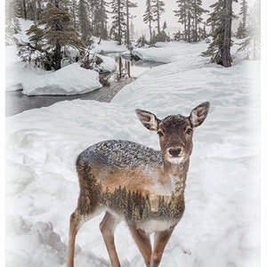 Deer Fabric Panel / Fawn - Call of The Wild  30&quot; Panel Call of the Wild Deer Panel 30in x 43in by Hoffman Quilting Fabric Panels