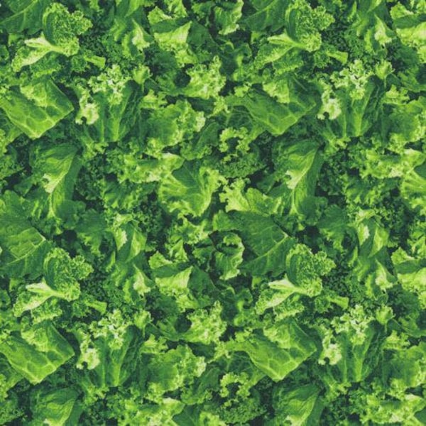 Vegetable Fabric Etsy