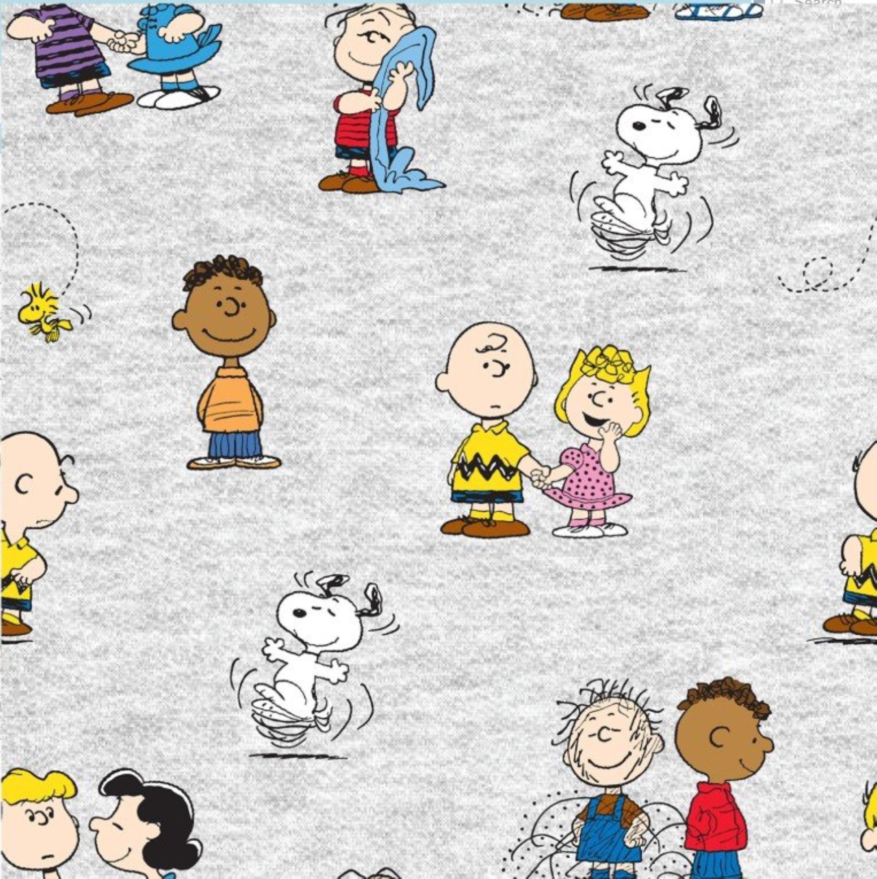 Peanuts Fabric / Peanuts Gang Characters on Gray Licensed by