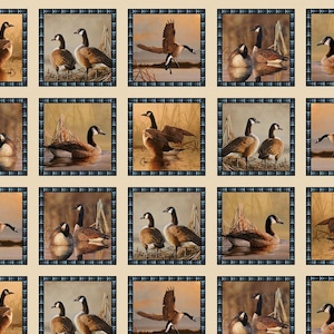 May include: A fabric panel featuring multiple framed images of Canada geese in various poses. The geese are depicted in a naturalistic style, with some in flight and others standing or swimming in water. The frames have a decorative border.