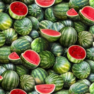Watermelon Fabric / Food Festival Yardage / Watermelon Fabric / Elizabeth Studio 563 Watermelon Toss by the yard and Fat Quarters