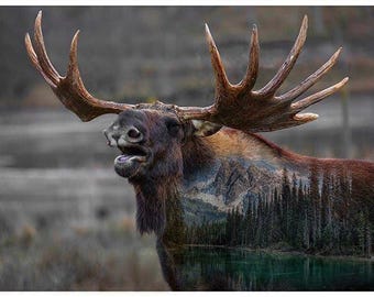 Moose Fabric Panel, Hoffman Spectrum Umber  Call of the Wild Quilt Panel 43x33 inch Digital Fabric Panel / Quilting Fabric Panels