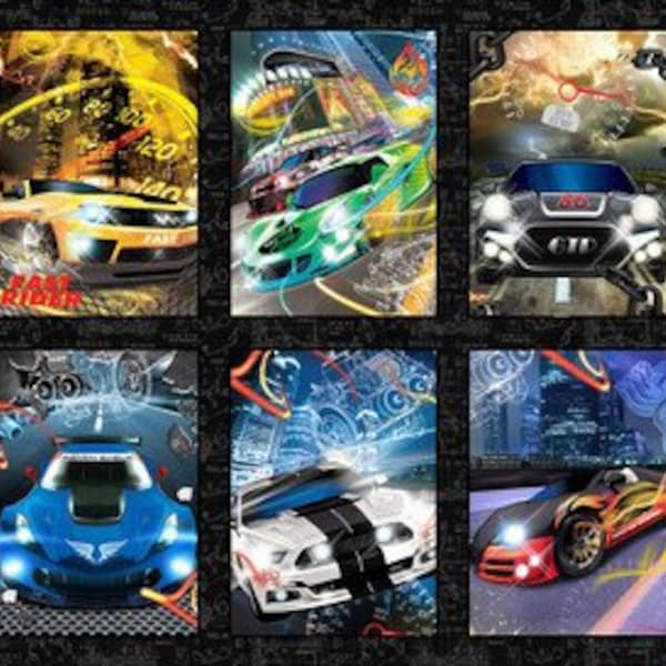 Fast and Wild Speeding Cars Block Panel Muscle Cars Block Quilt Panel by Studio-E 24x44 inches