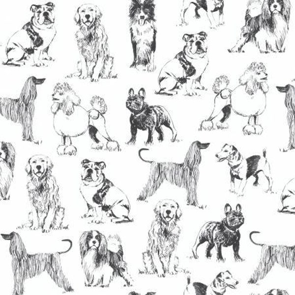 Weißer Hundekimono Stoff / Hundefutter von Timeless Treasures Birdieform und Fat Quarters