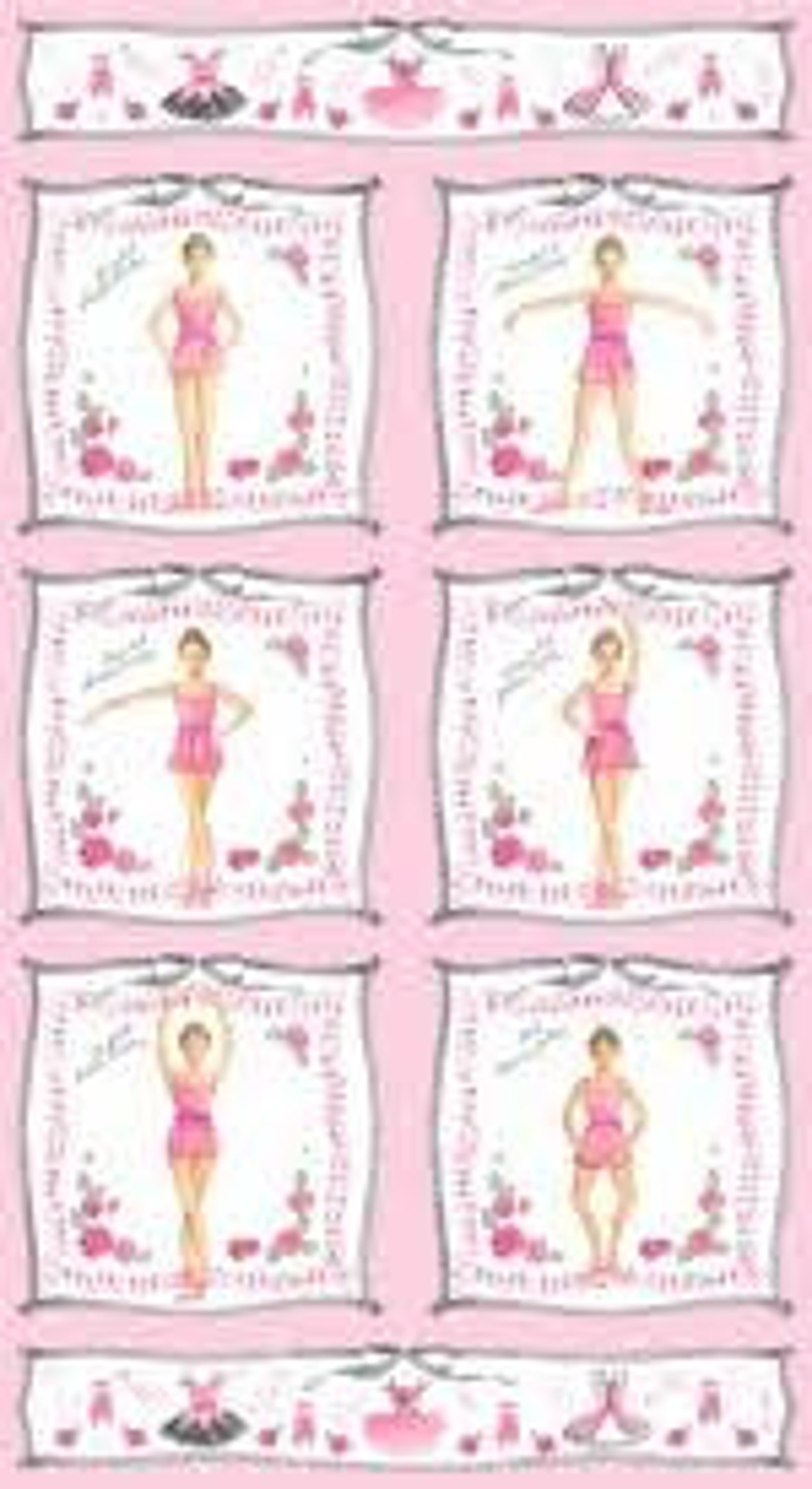 tutus & toe shoes fabric panel / ballerina quilt panel / dancer quilt / ballerina panel ballet dancer fabric panel / 24