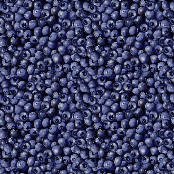 Blueberry Fabric Etsy