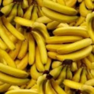 Food Fabric by the yard, A La Carte Bananas "Call Me" by Windham, fat quarters & yardage available