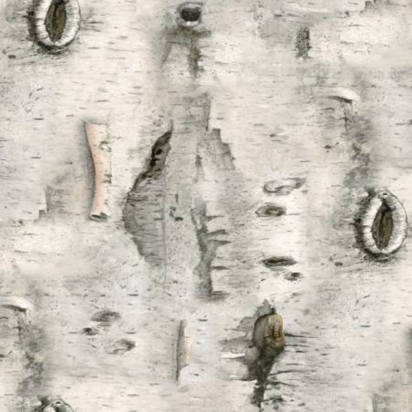 Grey Birch Wood, Landscape Medley by Elizabeth Studio 4324 Yardage and Fat Quarters Available