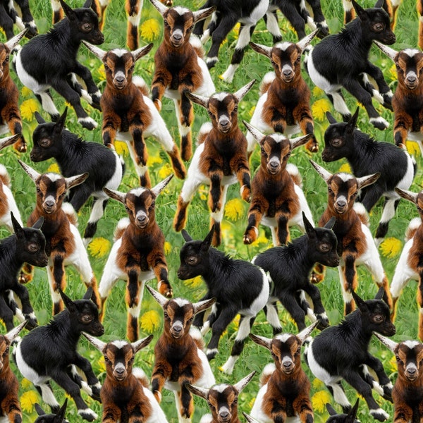 Goats on Green Fabric / Baby Goat Kids Playing Allover Fabric by David Textiles Farm Animals Goats Pasture Fabric Yardage & Cow Fat Quarters