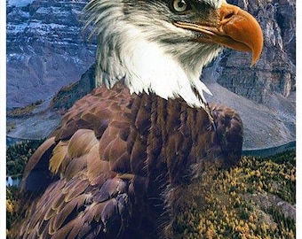 Eagle Fabric Panel / Eagle Americana 30" Panel by Hoffman Call of the Wild Fabrics Quilt Fabric Panel / Quilt Fabric Panels
