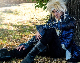 Jareth the Goblin King Labyrinth, Cosplay, man costume, Larp, Renaissance costume, David Bowie,