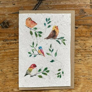 Carte à planter, carte oiseaux, aquarelle oiseaux, carte à graines, les cartes de Lulu, Delphine Balme, carte à planter oiseaux