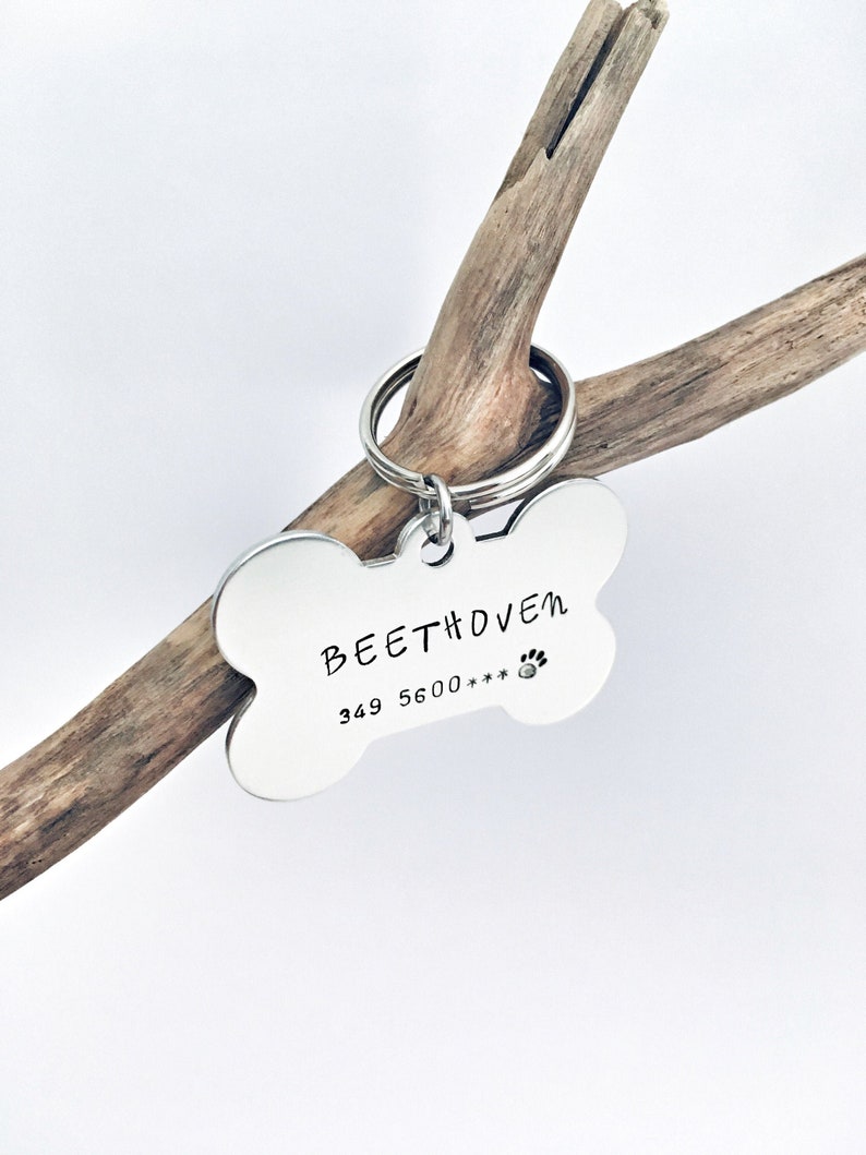 Targhetta Cane Personalizzata Medaglietta Per Cane Con Etsy