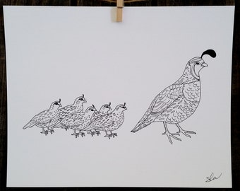 Quail with 5 Chicks Line Drawing, reproduction from original ink drawing