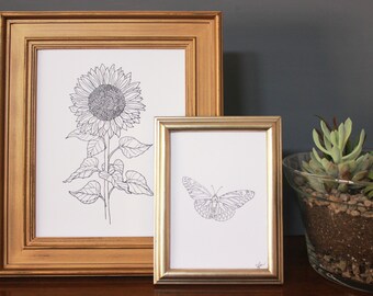 Set di 2, disegno al tratto girasole + farfalla - bianco e nero, colore, riproduzione del disegno a inchiostro originale