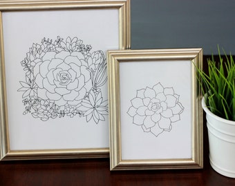 Succulents, set of 2, line drawings, reproduction from original ink drawing