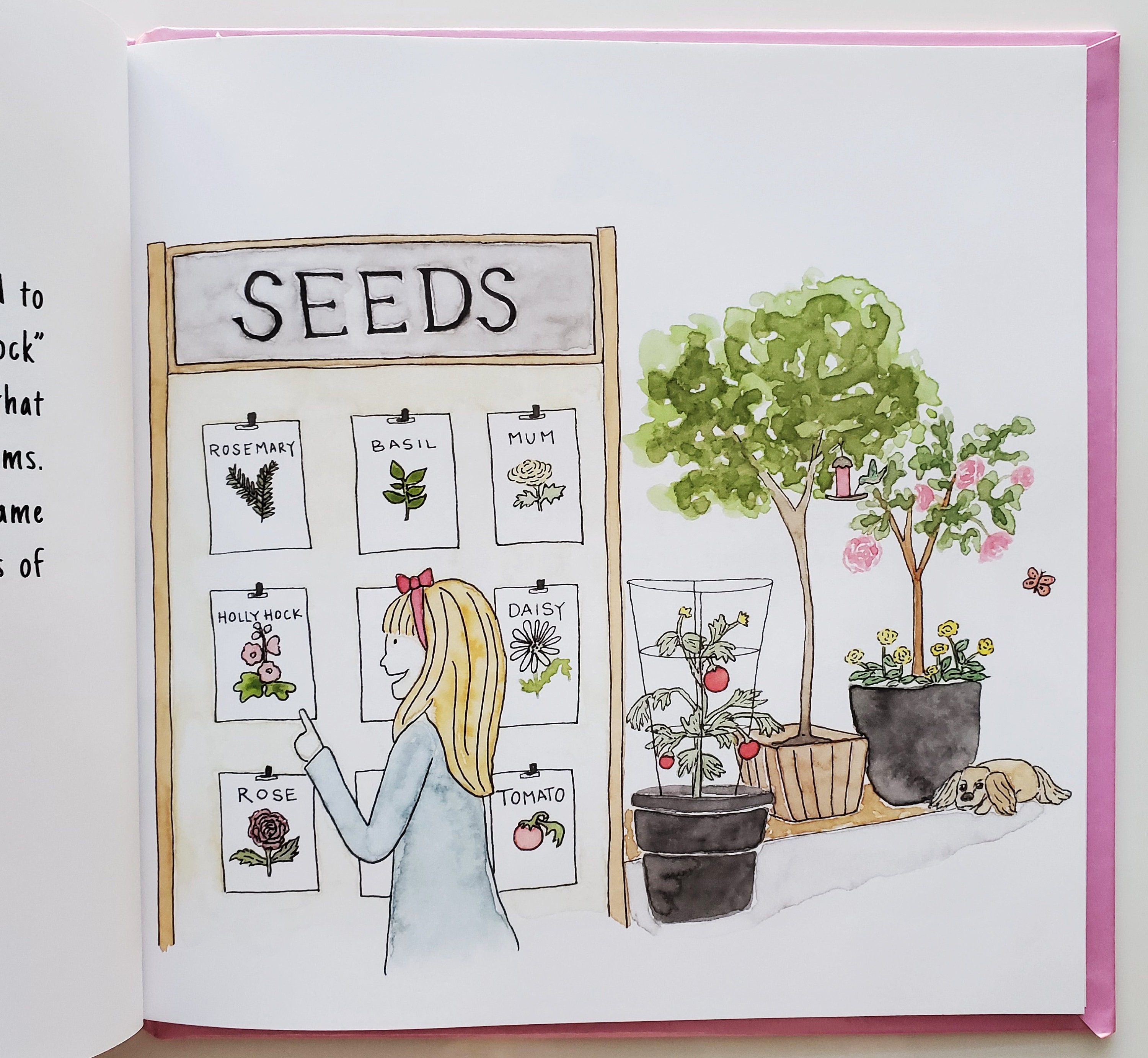Holly's Hollyhocks Children's Book - Signed Copy by the