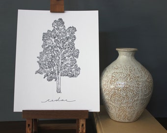 Cedar Tree Line Drawing, reproduction from original ink drawing