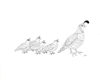 Quail with 4 Chicks Line Drawing, reproduction from original ink drawing