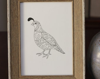 Quail Drawing, reproduction from original ink drawing