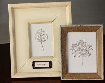 Aspen Leaf, a colori o in bianco e nero, riproduzione del disegno a inchiostro originale