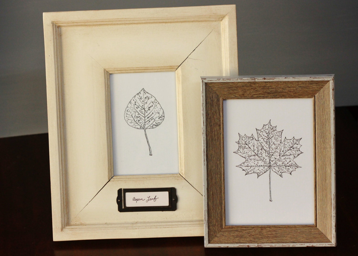Aspen Leaf, Color or B+W, reproduction from original ink drawing