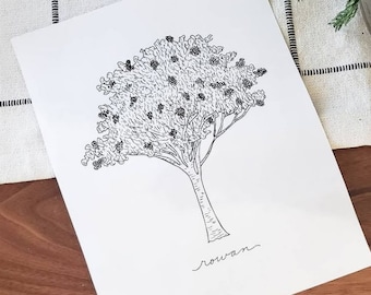 Rowan Tree Line Drawing, reproduction from original ink drawing