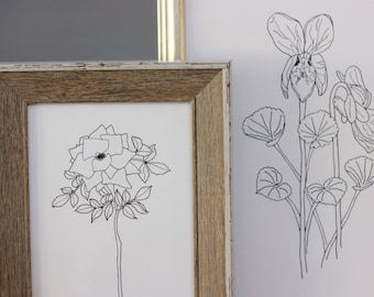 Violets + Rose, set of 2, Line Drawings, reproduction from original ink drawing