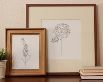 Set of 2, Hydrangea + Stalk Line Drawings, reproduction from original ink drawing