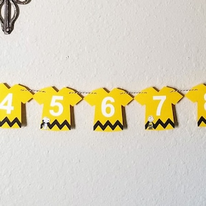 Charlie Brown Photo Banner, Peanuts Birthday Banner, Charlie Brown ...