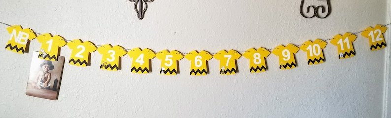 Charlie Brown Photo Banner Peanuts Birthday Banner Charlie - Etsy