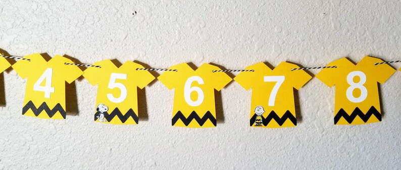 Charlie Brown Photo Banner Peanuts Birthday Banner Charlie - Etsy