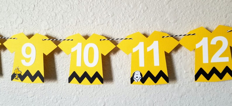 Charlie Brown Photo Banner Peanuts Birthday Banner Charlie - Etsy