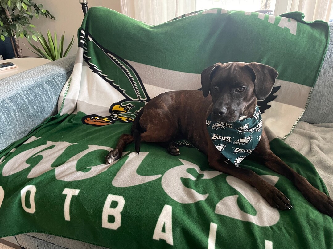 EAGLES Dogpet Collar Bandananflphiladelphia Eagles Football Etsy