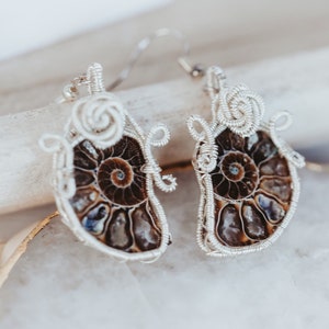 May include: A pair of silver wire wrapped earrings featuring a brown and iridescent ammonite fossil with a white wire wrapped rose detail.