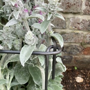 Set of Metal Box Plant Supports
