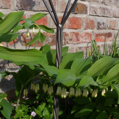 Support de plante en métal fait à la main avec tige de style corde c/w cœur/couronne.